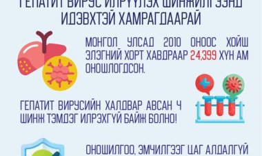 Монгол улсад элэгний хорт хавдрын шалтгааны 70-80%-ийг гепатит вирусийн архаг халдвар эзэлдэг.