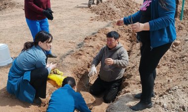 ТЭРБУМ МОД” ҮНДЭСНИЙ ХӨДӨЛГӨӨНИЙ ХҮРЭЭНД ЗОХИОН БАЙГУУЛАГДАЖ БУЙ ХАВРЫН  БҮХ НИЙТЭЭР МОД ТАРИХ  ҮЙЛ АЖИЛЛАГААНД ОРОЛЦЛОО