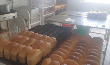 ТӨЛӨВЛӨГӨӨТ ШАЛГАЛТЫН ЯВЦЫН МЭДЭЭ