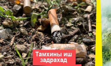 Дэлхийн тамхигүй өдөр 5-р сарын 31