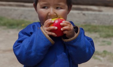 “Пестицид дээр шинжилгээ хийх ёстой лаборатори маань 2016 оноос эвдэрч зогссон”