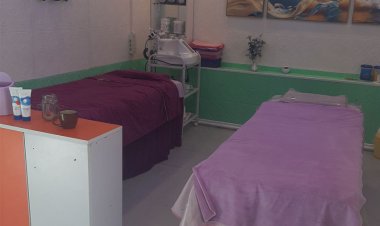 ТӨЛӨВЛӨГӨӨТ БУС ШАЛГАЛТ ХИЙЛЭЭ